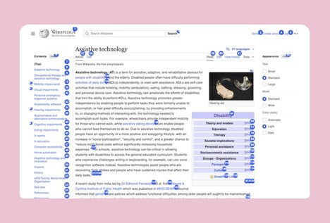 Inclusive Web Access