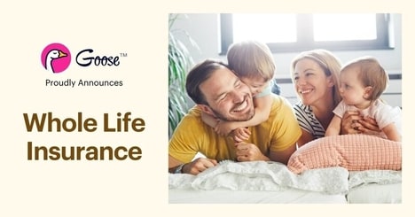 Whole Life Insurance Distributions