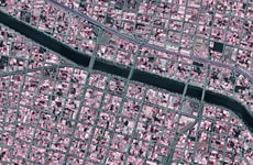 Detailed Global Vector Maps