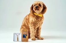 Luxury Gut Health Jewelry