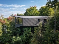 Forest-Treetop Retreats Image 2