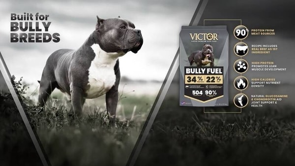 Athletic Breed Dog Foods