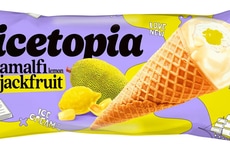 Jackfruit Ice Cream Novelties