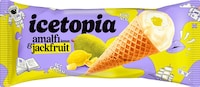 Jackfruit Ice Cream Novelties Image 1