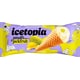 Jackfruit Ice Cream Novelties Image 1