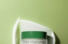 Biomimetic Lipid Creams