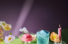 Nutrient-Infused Ice Cubes