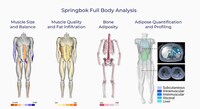 Rapid MRI Scan Services Image 1