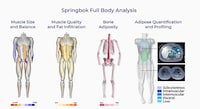 Rapid MRI Scan Services