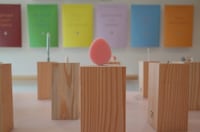 Health Object Art Exhibitions