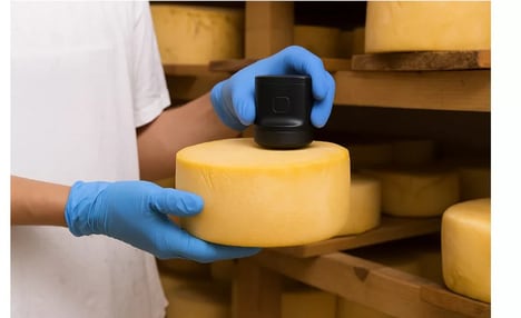 Handheld Noninvasive Cheese Analyzers