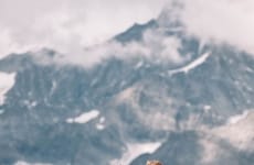 Experiential Wedding Registry Gifts