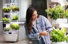 Oversized Adaptable Gardening Towers