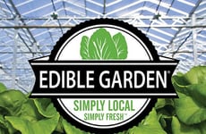 Expanded Organic Food Providers Article Thumbnail