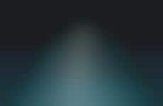 Celebrity Basketball Shoe Launches