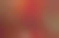 Large-Scale Theatrical Releases