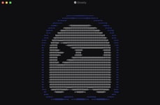 Unified Terminal Experiences