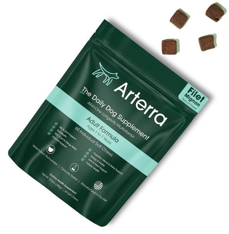 Longevity-Focused Dog Supplements