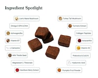 Longevity-Focused Dog Supplements Image 3