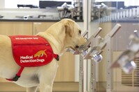 Canine Health Screening Tests Image 2
