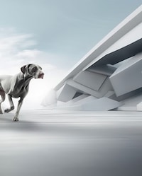Pet Care-Focused Research Organizations Image 1