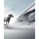 Pet Care-Focused Research Organizations Image 1