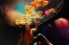 Interactive Jellyfish Exhibits