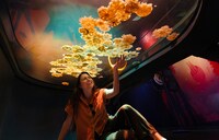Interactive Jellyfish Exhibits Image 1