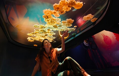 Interactive Jellyfish Exhibits