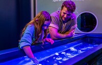 Interactive Jellyfish Exhibits Image 2