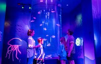 Interactive Jellyfish Exhibits Image 3