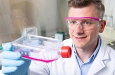 Fermentation-Based Collagen Proteins