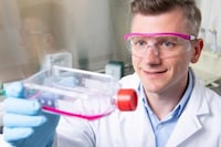 Fermentation-Based Collagen Proteins