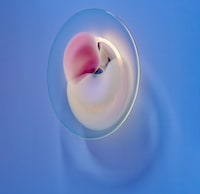 Petal-Inspired Glass Lighting