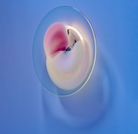 Petal-Inspired Glass Lighting