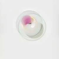 Petal-Inspired Glass Lighting Image 3