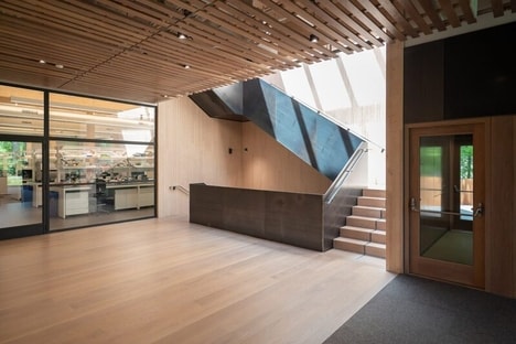 Timber Biotech Labs