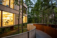 Timber Biotech Labs Image 2