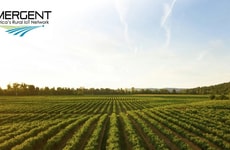 Agriculture-Focused IoT Networks