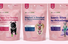 Influencer Dog Treat Collections