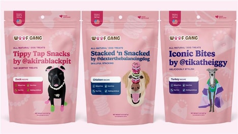 Influencer Dog Treat Collections