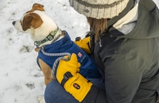 Heated Dog Vests