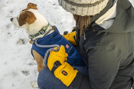 Heated Dog Vests