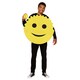 Smiling Sponge Costumes Image 1