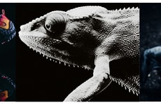 Adaptive Trail Sneakers