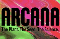 business-focused cannabis collectives