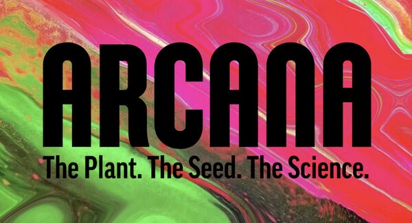 business-focused cannabis collectives