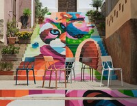 Lightweight Vibrant Chairs Image 3