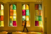 Immersive Light Exhibits