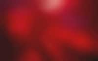 Red-Forward Hospitality Spaces Image 1